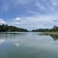 MacRitchie Reservoir and TreeTop Walk! 🌴🍃☀️