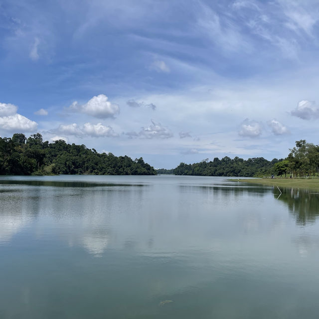 MacRitchie Reservoir and TreeTop Walk! 🌴🍃☀️
