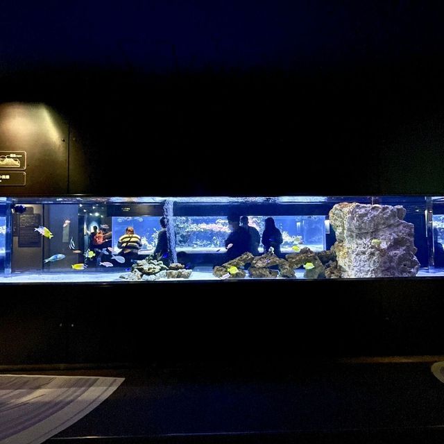 すみだ水族館といえば…？