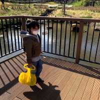 保土ヶ谷公園で自然と遊ぼう！