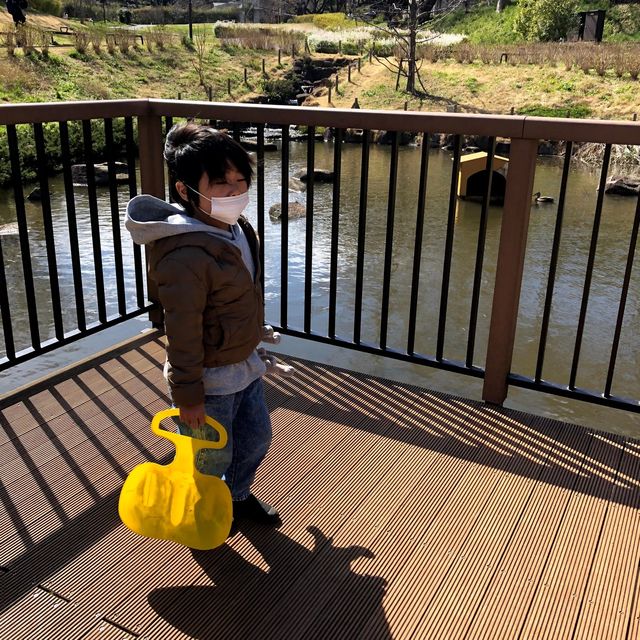 保土ヶ谷公園で自然と遊ぼう！
