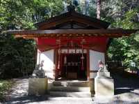 歷史悠久➡️寶登山神社⛩️