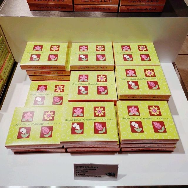 ROYCE'　夏の新商品　新千歳空港3階　チョコレートワールド
