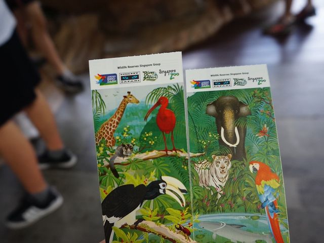 싱가포르 동물원🐒