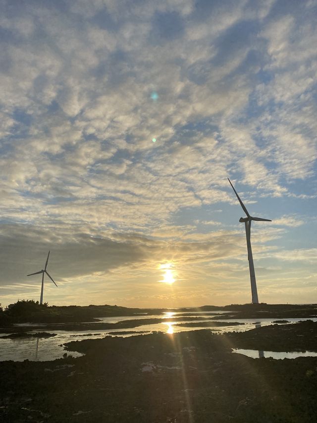 [제주도] 제주도 노을 스팟중 최고봉✨ 풍차와 노을의 조화
