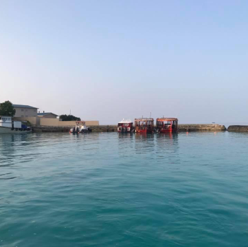 🎣 Fishing Excursion