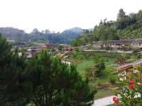 Betong Winter Flower Garden