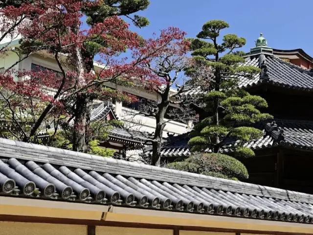 真言宗　東長寺！！