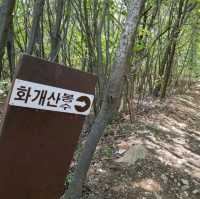 인천여행 강화도 화개산