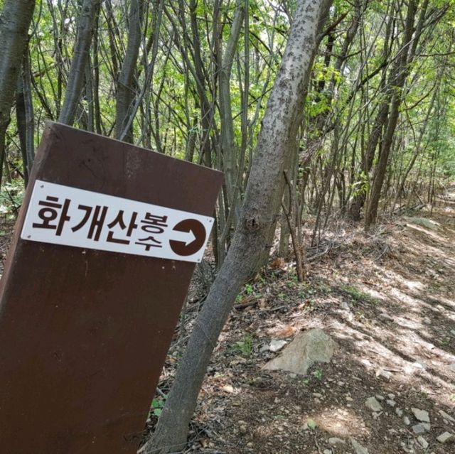 인천여행 강화도 화개산