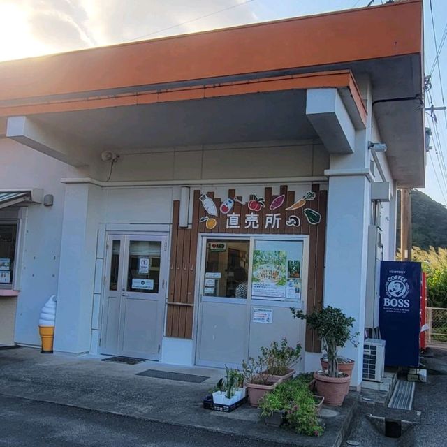 【奄美大島】直売所
