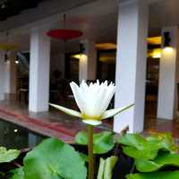 เยือนมรดกโลกสุโขทัย...ไม่ควรพลาดสุโขทัย เฮอริเทจ