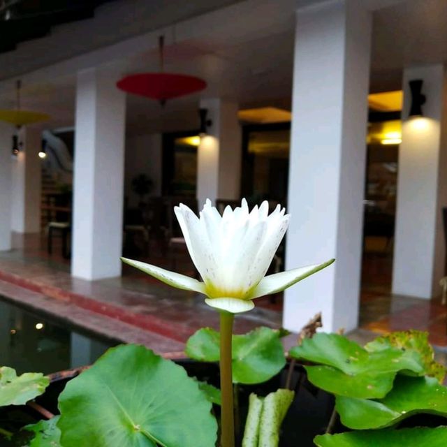 เยือนมรดกโลกสุโขทัย...ไม่ควรพลาดสุโขทัย เฮอริเทจ