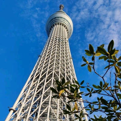 We Visited a Pokemon Center at the Tallest Tower in the World