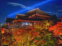 秋の京都。清水寺のライトアップ。『清水の舞台』