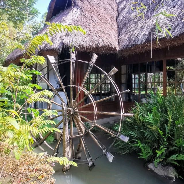 Nekoemon Cafe คาเฟ่สไตล์ญี่ปุ่นในเชียงใหม่