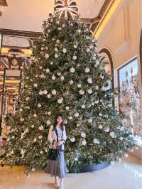 香港打卡攻略🎄港女必去半島Chanel聖誕樹