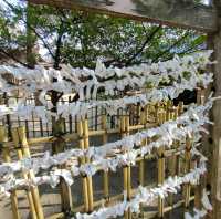【大阪 高津神社】新年の運試し🎍おみくじ✨