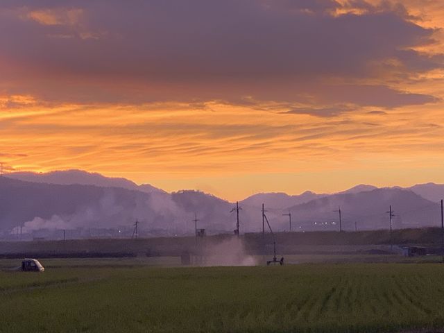 嵯峨野觀光小火車