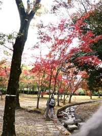 【大阪】万博記念公園🌏