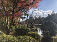 【大分】海地獄が見える！白龍稲荷大神⛩