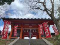 京都　SAKURA 桜めぐり❗️毘沙門堂の枝垂桜に感動❗️