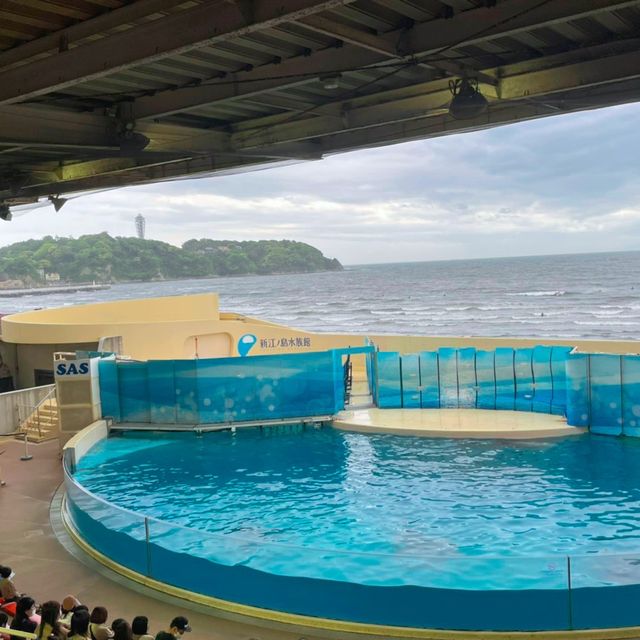 新江ノ島水族館