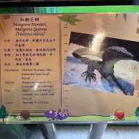 免費增進爬蟲類動物小知識