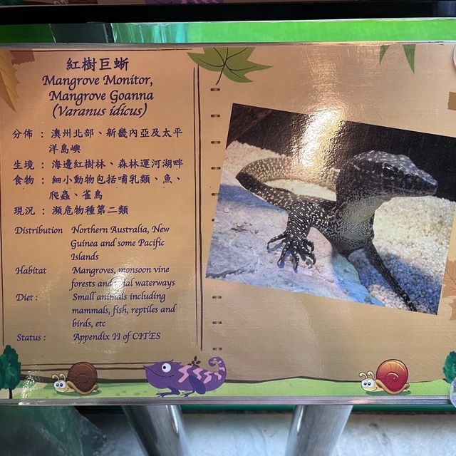 免費增進爬蟲類動物小知識