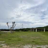 【沖縄・伊江島】まだまだ楽しめる！ユリ満開の公園