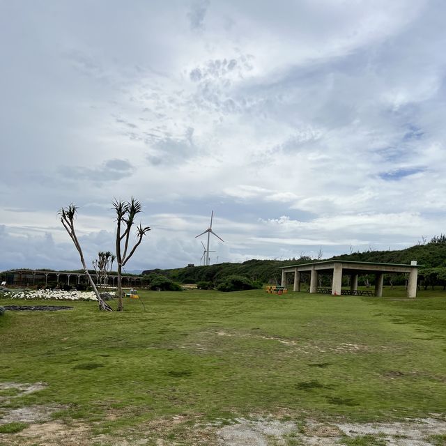 【沖縄・伊江島】まだまだ楽しめる！ユリ満開の公園