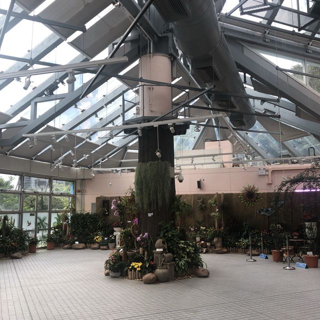 欣賞溫室內的植物