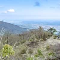 新緑の相模湾を眺めつつの登山