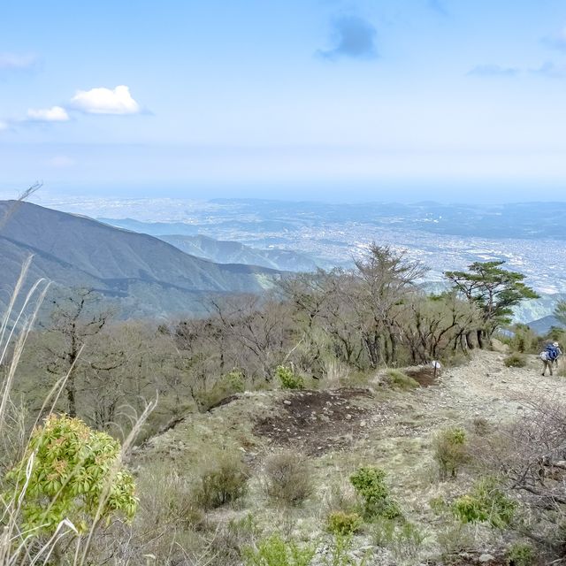 新緑の相模湾を眺めつつの登山
