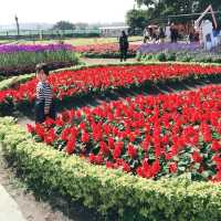 一年四季都能賞花的勝地