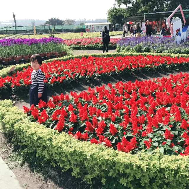 一年四季都能賞花的勝地