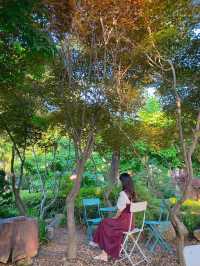 경기도 의왕에서 느끼는 제주 감성 레스토랑 ‘뒤란’ 🌴