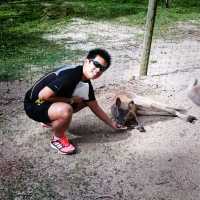 Petting Zoo In Gold Coast Australia