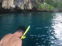 snorkelling In phi phi island 