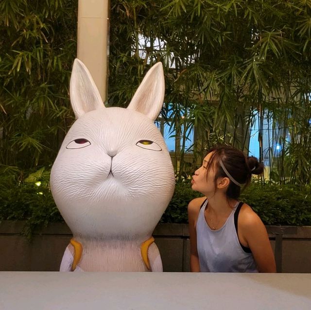 與♡星月兔🐰♡的相聚