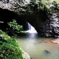 It's a Land Of Waterfall In Springbrook