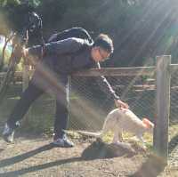 Caversham Wildlife Park 