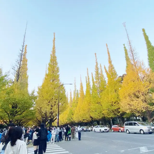 Autumn street in Tokyo