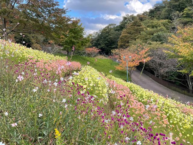 四季を楽しむ、神戸ハーブ園🌿