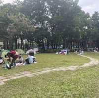野餐郊遊地