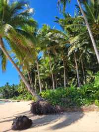 Tropical Paradise in Baganga, Davao Oriental