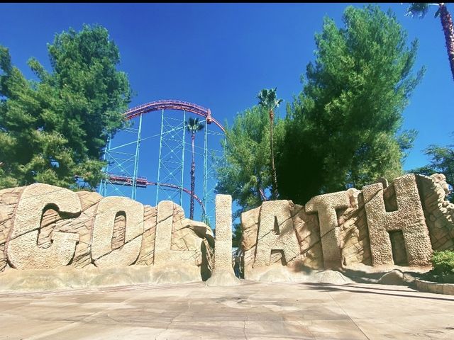 Six Flags Magic Mountain holds the world reco