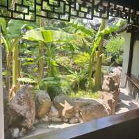 Gardens in Shanghai 
