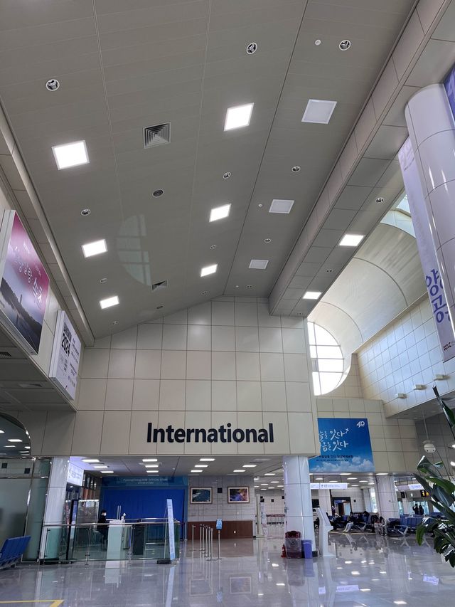 양양에서도 일본까지 갈 수 있다고?!🇰🇷✈️🇯🇵