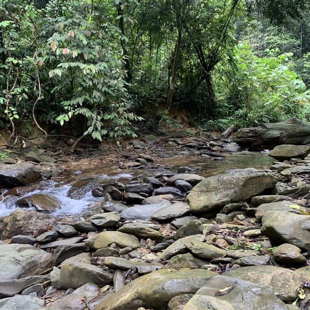 North Sumatra Jungle.